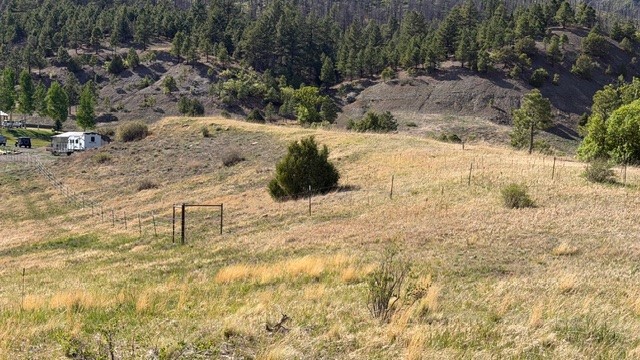 24.61 Acres Los Alamitos Road