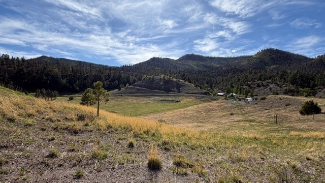 24.61 Acres Los Alamitos Road
