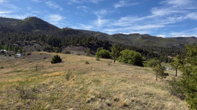 24.61 Acres Los Alamitos Road