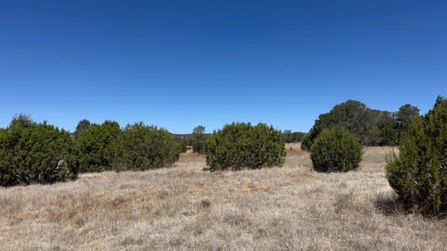 16.03 acres County Road B55