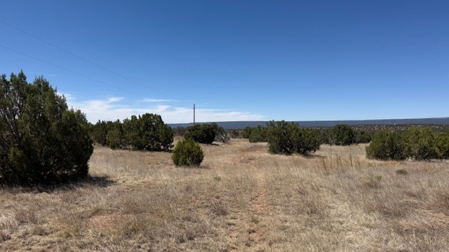 16.03 acres County Road B55