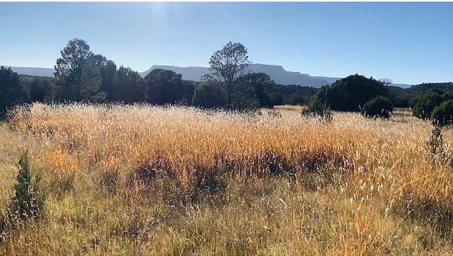 16.03 acres County Road B55