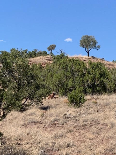 16.03 acres County Road B55