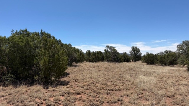 16.03 acres County Road B55