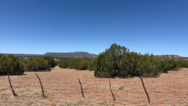16.03 acres County Road B55
