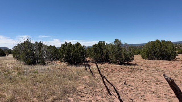 16.03 acres County Road B55