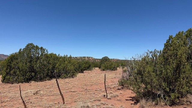 16.03 acres County Road B55