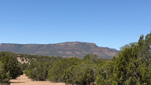 16.03 acres County Road B55