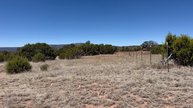 16.03 acres County Road B55