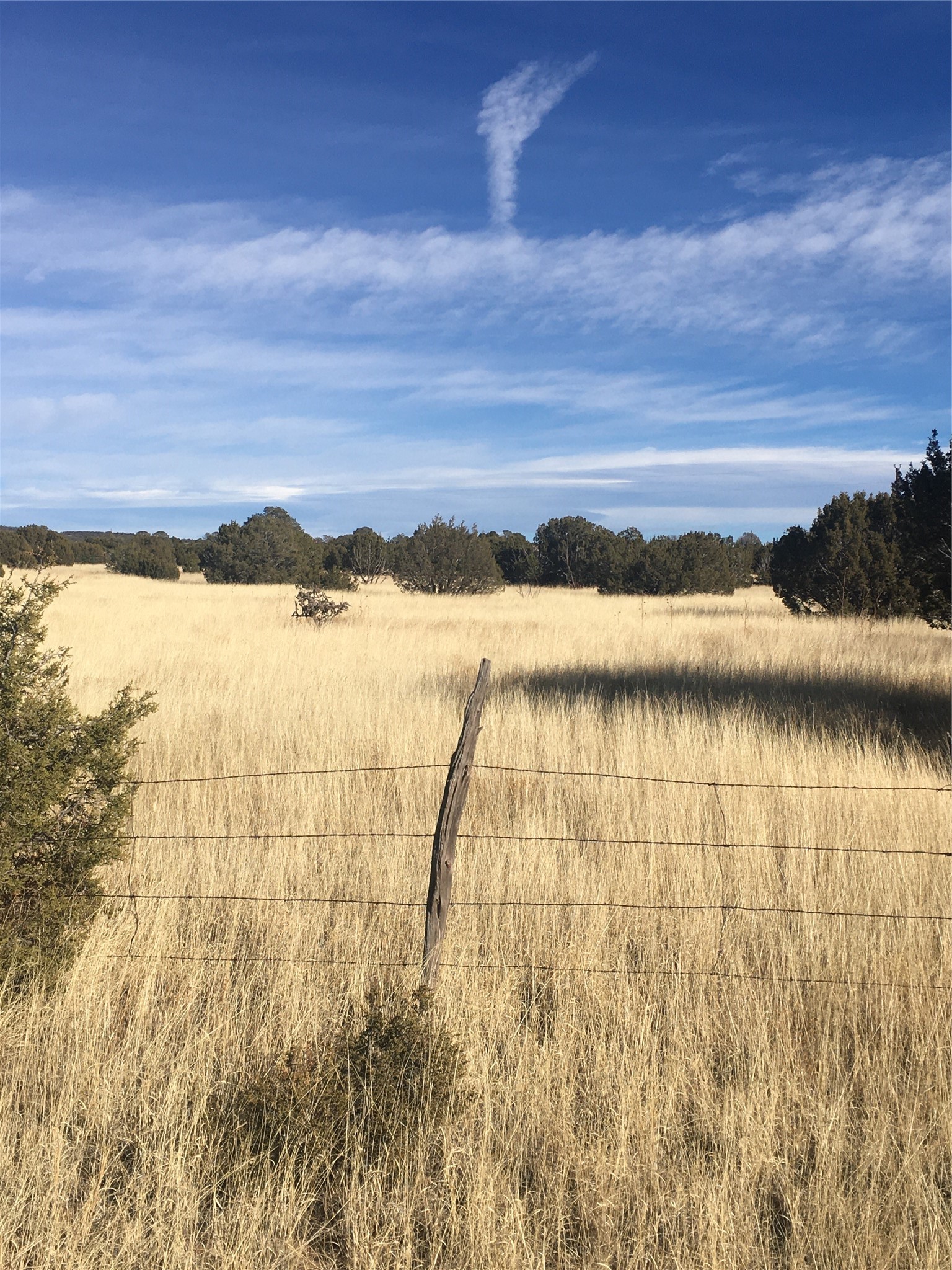 16.03 acres County Road B55