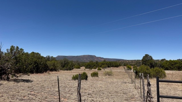 16.03 acres County Road B55