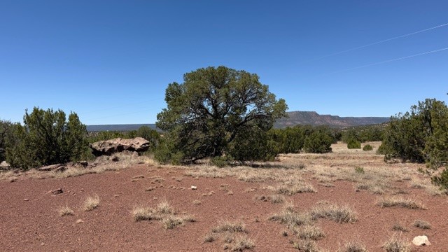 16.03 acres County Road B55