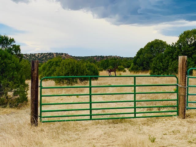 16.03 acres County Road B55