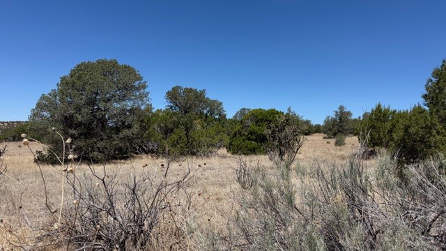 16.03 acres County Road B55