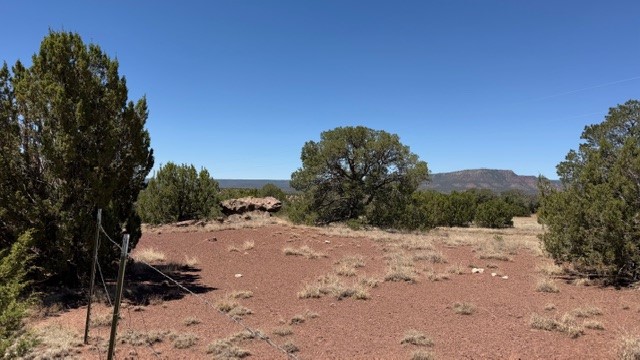 16.03 acres County Road B55