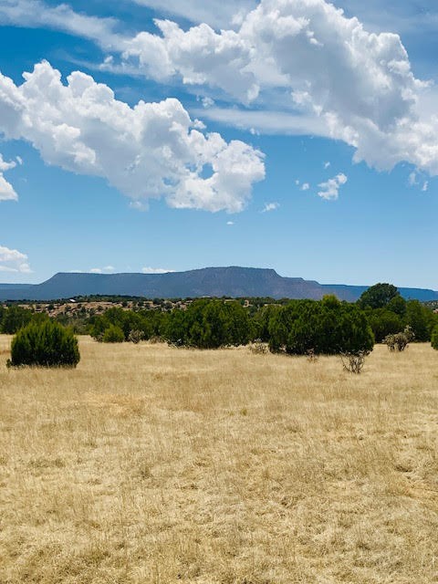 16.03 acres County Road B55