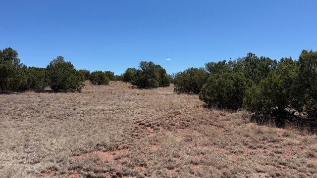 16.03 acres County Road B55