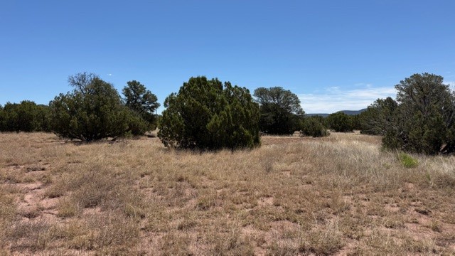 16.03 acres County Road B55