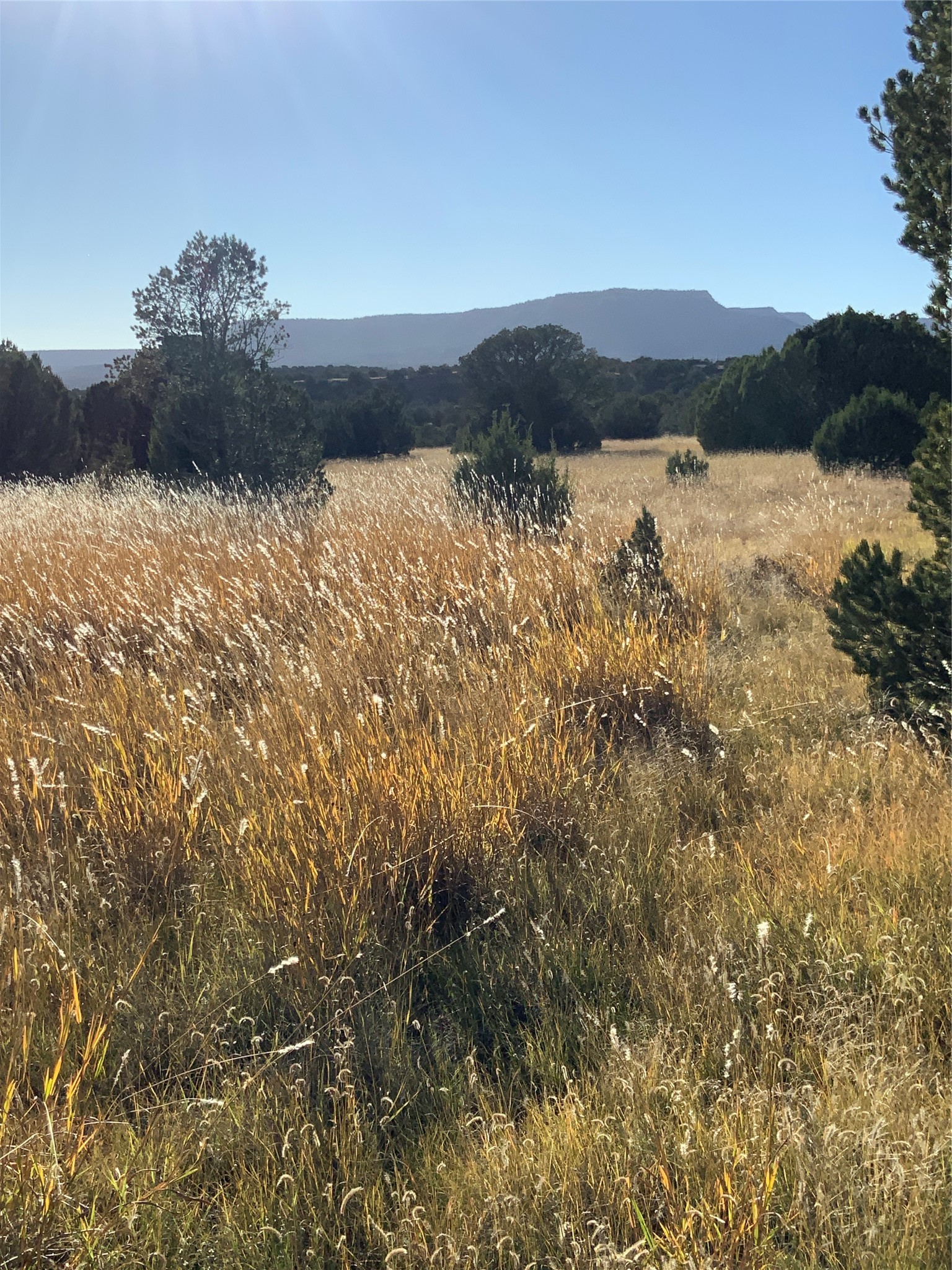16.03 acres County Road B55