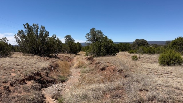 16.03 acres County Road B55