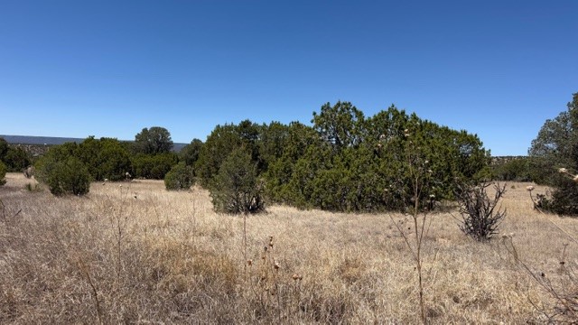 16.03 acres County Road B55