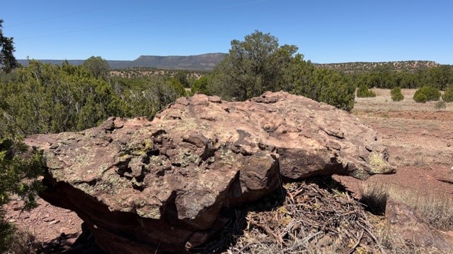 16.03 acres County Road B55