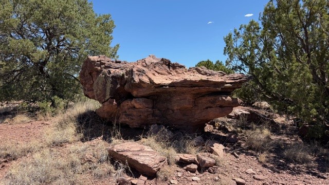 16.03 acres County Road B55