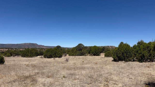 16.03 acres County Road B55