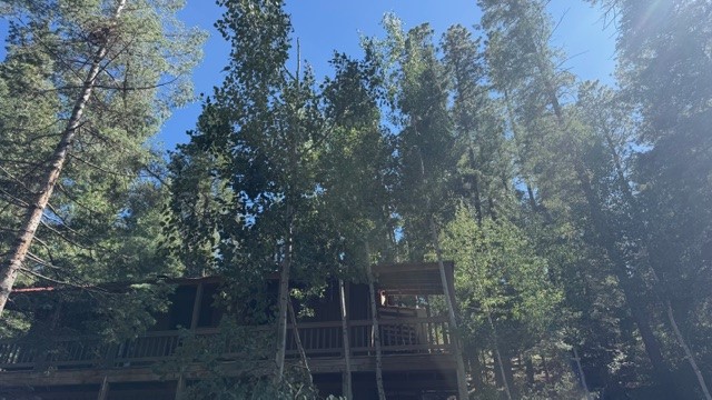9 Pond Road