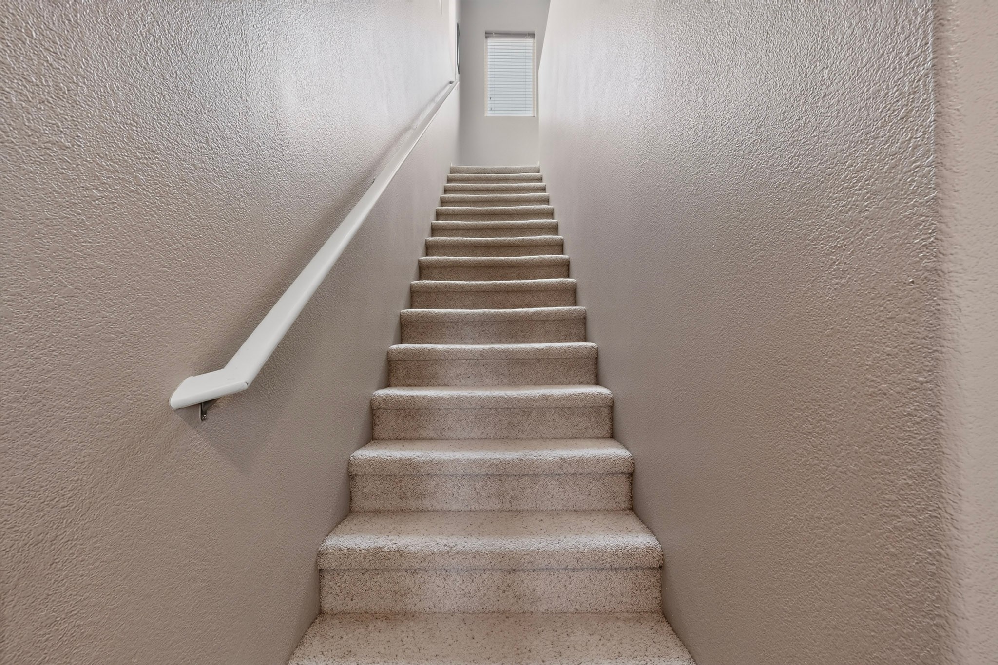 4404 San Benito C