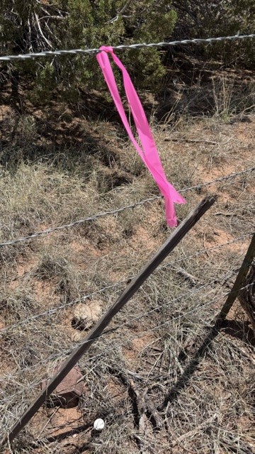 Tract 7B Moondance Ranch
