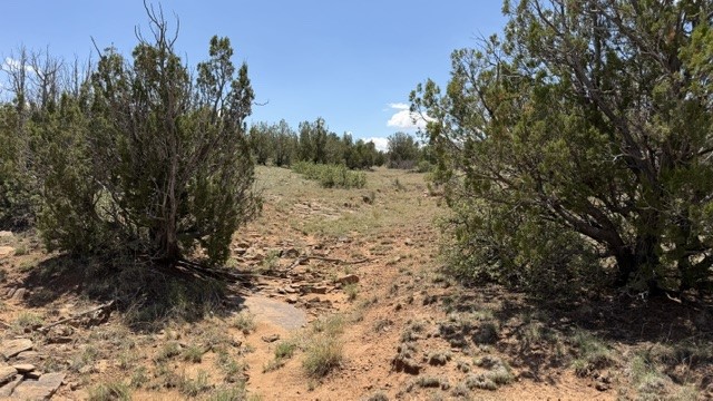 Tract 7B Moondance Ranch