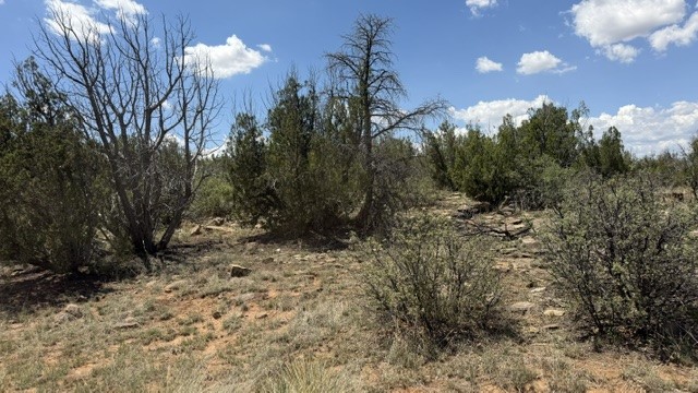 Tract 7B Moondance Ranch