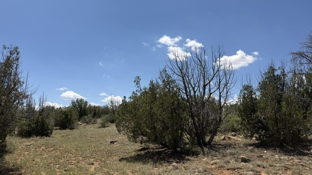 Tract 7B Moondance Ranch