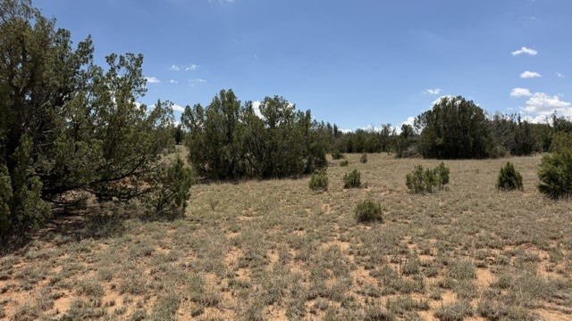 Tract 7B Moondance Ranch