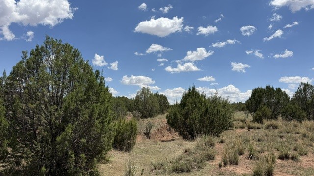 Tract 7B Moondance Ranch