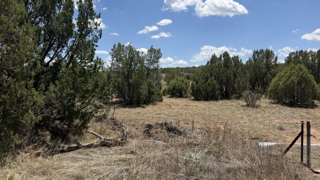 Tract 7B Moondance Ranch