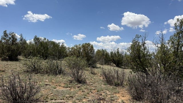 Tract 7B Moondance Ranch