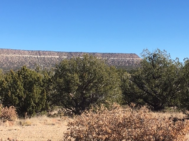 Tract 7B Moondance Ranch