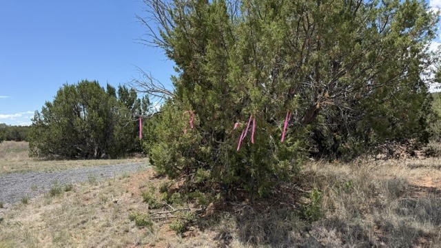 Tract 7B Moondance Ranch