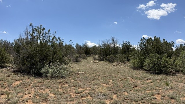 Tract 7B Moondance Ranch