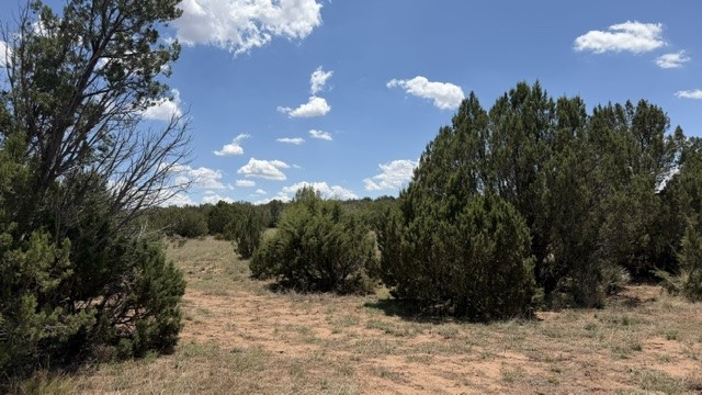Tract 7B Moondance Ranch