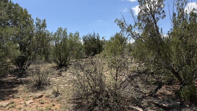 Tract 7B Moondance Ranch