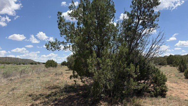 Tract 7B Moondance Ranch