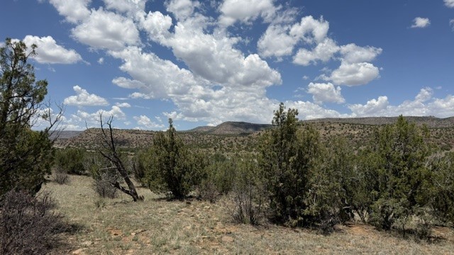 Tract 7B Moondance Ranch
