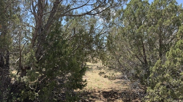 Tract 7B Moondance Ranch