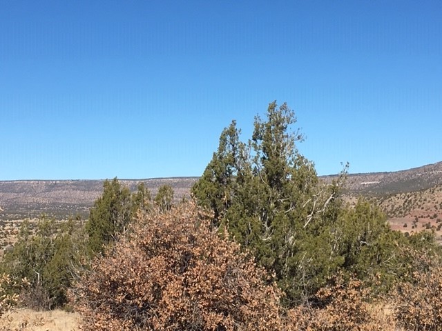 Tract 7B Moondance Ranch