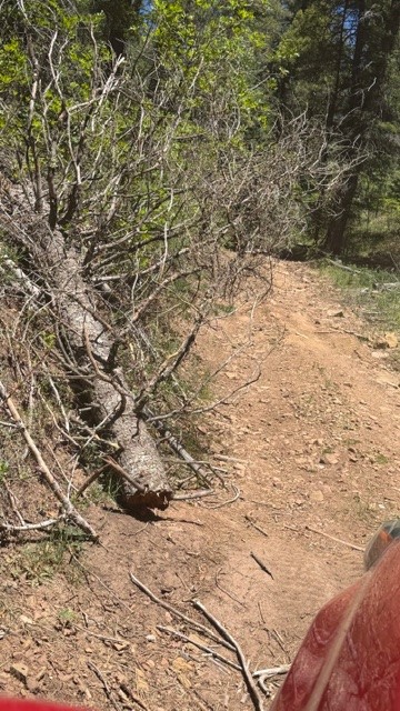 TBD Sawyer Mesa Road