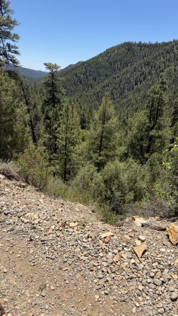 TBD Sawyer Mesa Road