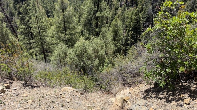 TBD Sawyer Mesa Road